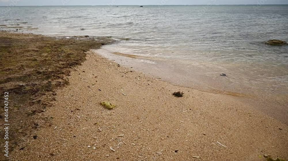 A soothing video of calm sea water washing up on sand on the clean beach outdoor at daytime on Ishigaki island in Okinawa in Japan with space for text. A soothing video of calm sea water washing up on sand on the clean beach outdoor at daytime on Ishigaki island in Okinawa in Japan with space for text.