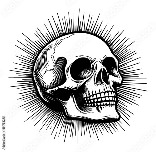 Intricate Black and White Skull Engraving with Radiating Lines