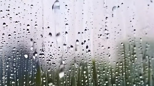 A window covered with raindrops. Blurred silhouettes of plants or grass can be seen through the glass. The water drops create a unique pattern that gives the image the atmosphere of a rainy day.