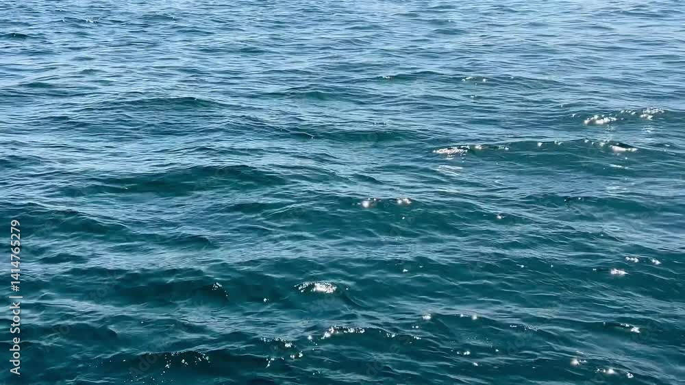Blue waves of the Bosphorus in sunny weather, Istanbul Blue waves of the Bosphorus in sunny weather, Istanbul