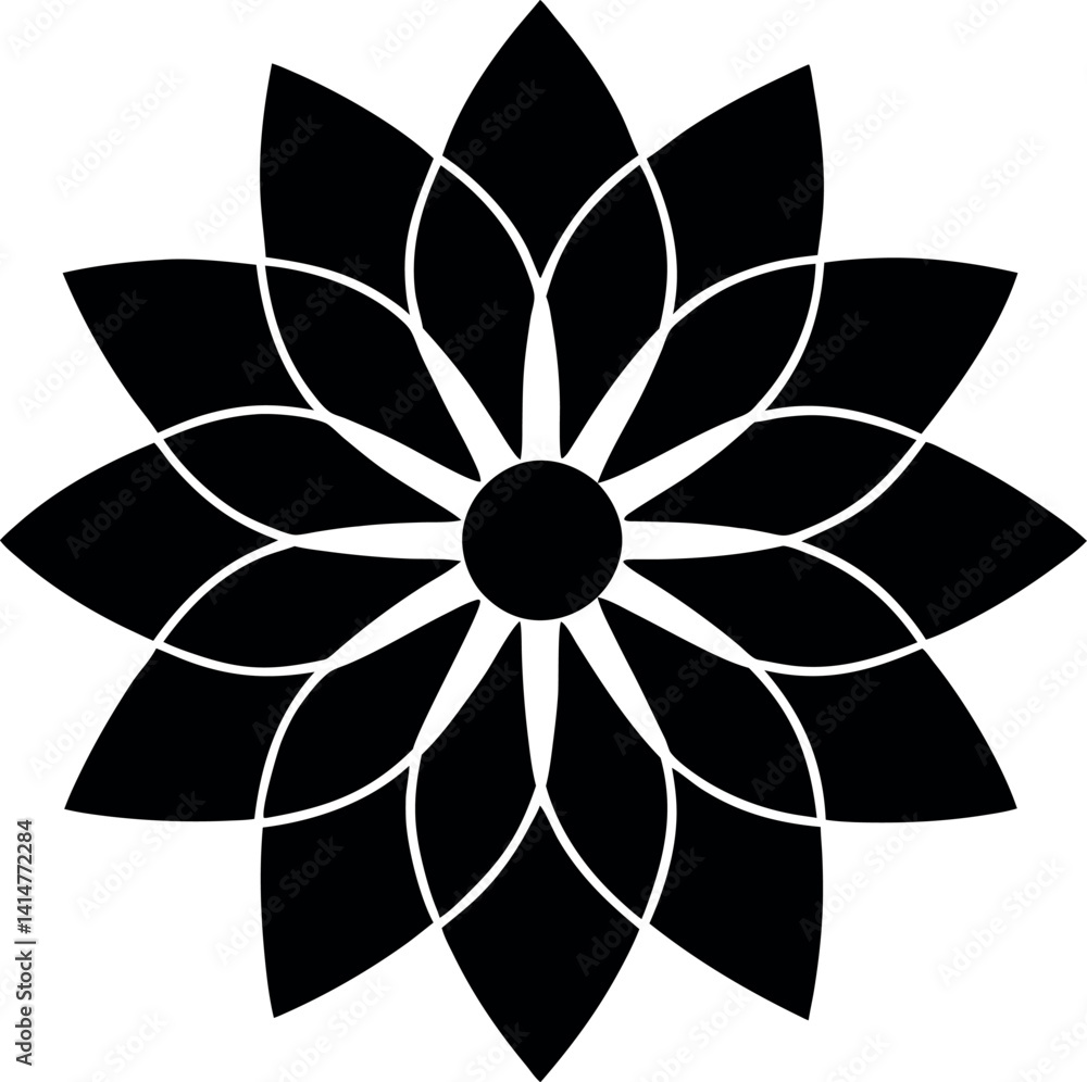 black and white flower black and white flower