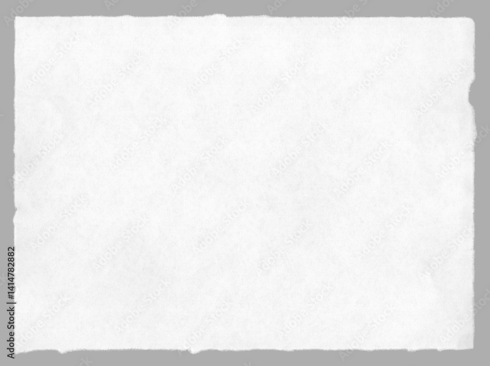 Torn paper sheet with rough  ripped edges. Highly detailed paper texture and carefully isolated ragged edges  for clipart and message background.