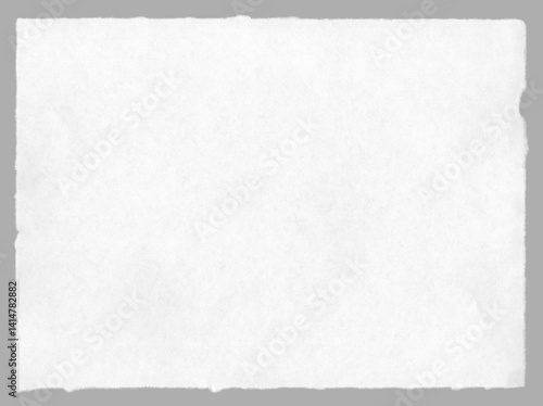 Torn paper sheet with rough  ripped edges. Highly detailed paper texture and carefully isolated ragged edges  for clipart and message background.