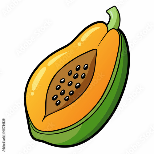 vector illustration of an orange fruit