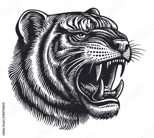Fierce Tiger Engraving in Classic Woodcut Style for Artwork and Design