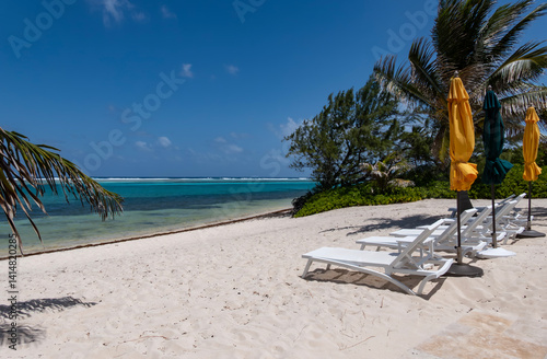 Beautiful Caribbean Beach with Swaying Coconut Palm Tree, White Plastic Lounge Chairs and Colorful Sun Umbrellas