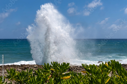 Obraz na płótnie Water Gushing Out from a Blowhole on the East Coast of Grand Cayman Island w salonie