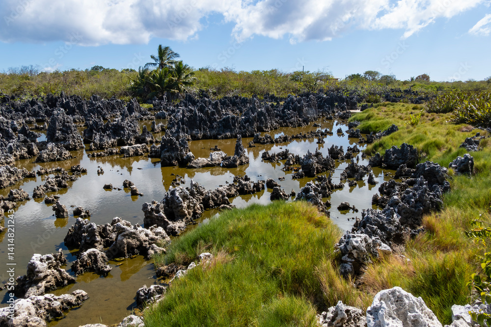 A Unique Ecosystem with Sharp Rock Formations, Water and Greenery and Known as Hell of Grand Cayman Island