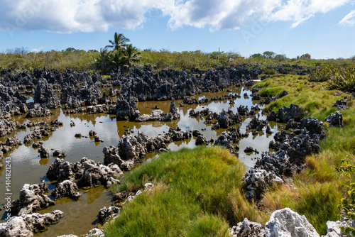 Obraz na płótnie A Unique Ecosystem with Sharp Rock Formations, Water and Greenery and Known as Hell of Grand Cayman Island w salonie