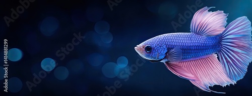 Obraz na płótnie Colorful betta fish showcases vibrant fins while illuminating the dark water with bright light in stunning digital art w salonie