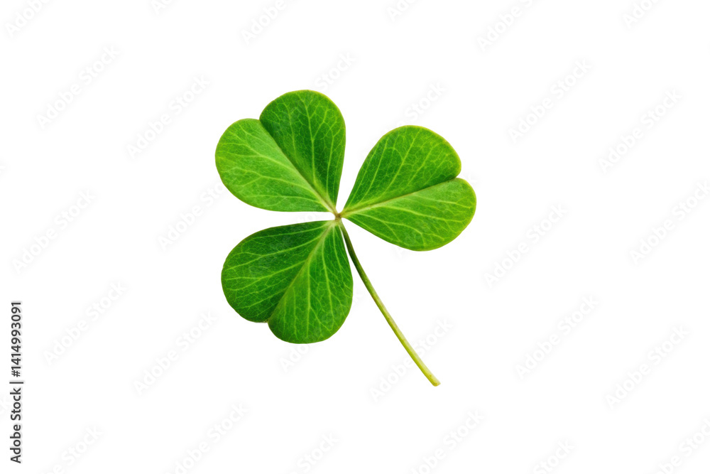 PNG Three-leaf clover PNG Three-leaf clover