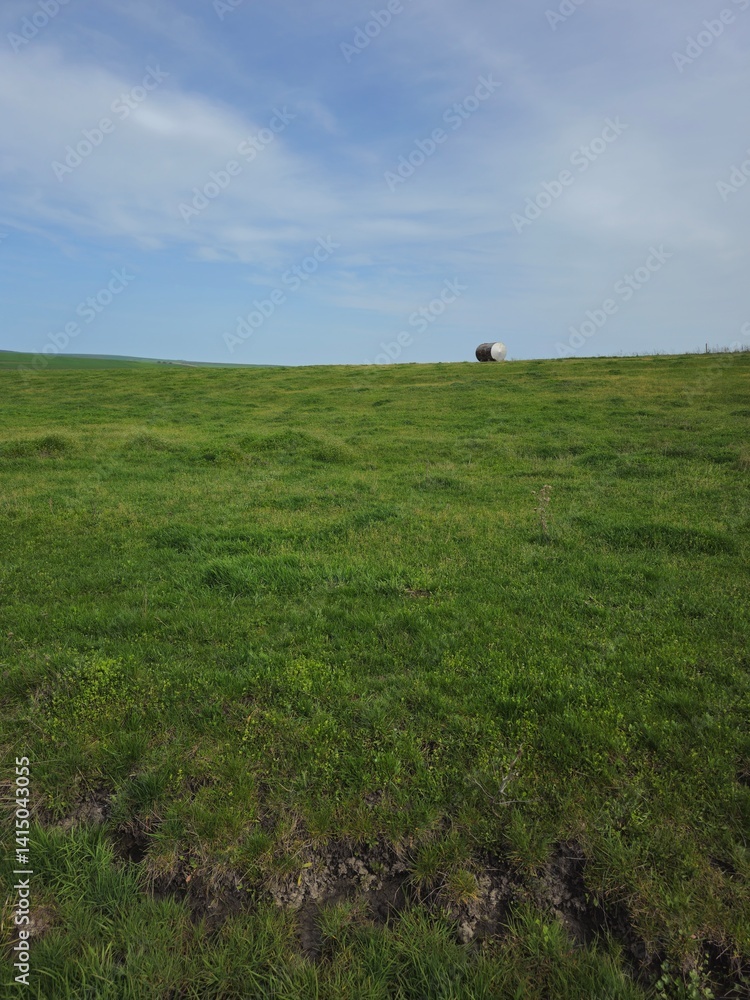 A green field with a white sign
