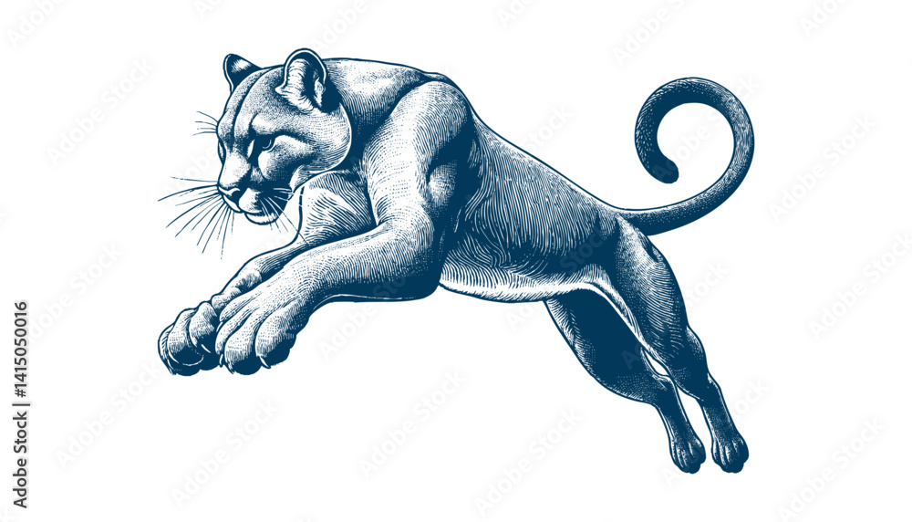 Obraz premium puma vector