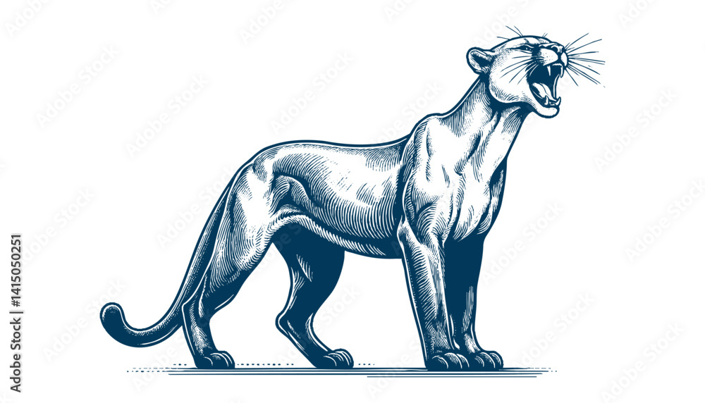 Obraz premium puma vector