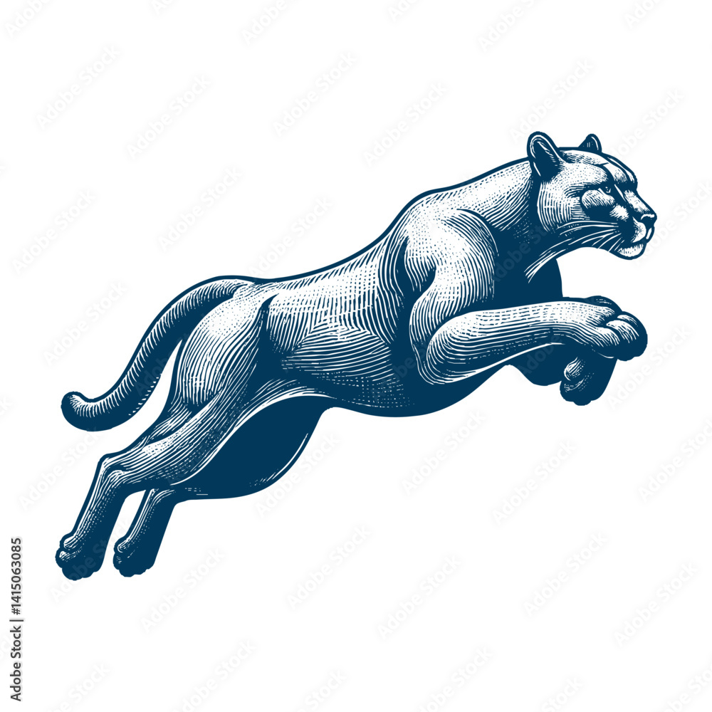 Obraz premium puma vector