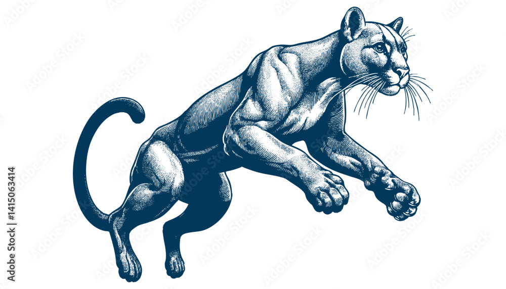 Obraz premium puma vector
