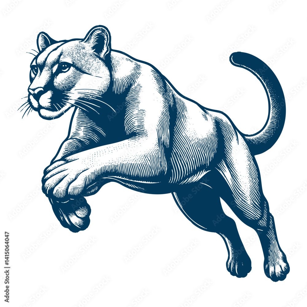 Obraz premium puma vector