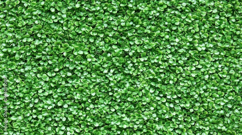 Close-up view of dense green foliage Close-up view of dense green foliage
