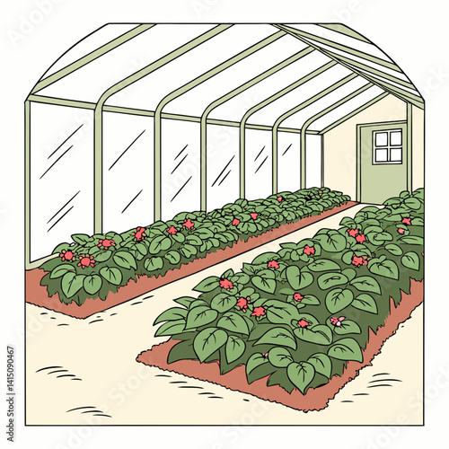 Greenhouse Interior With Rows Of Flowering Plants Vector Illustration