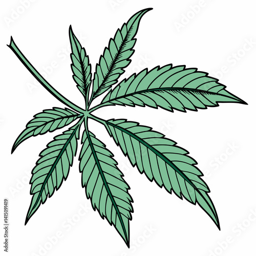 Stylized Cannabis Leaf Illustration On White Background Detailed Marijuana Design