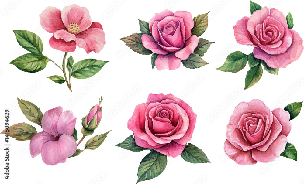 Fototapeta premium set of pink roses vector