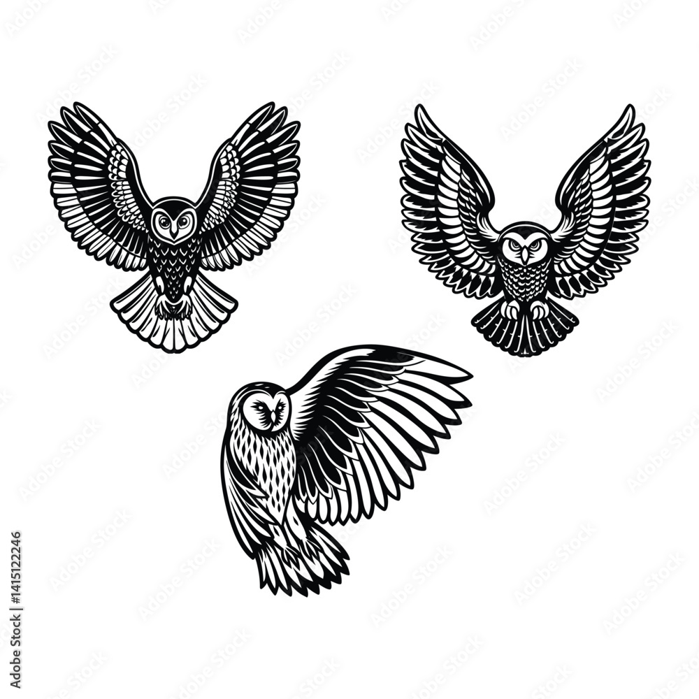 Fototapeta premium Majestic eagle with angel wings set of birds vector illustration
