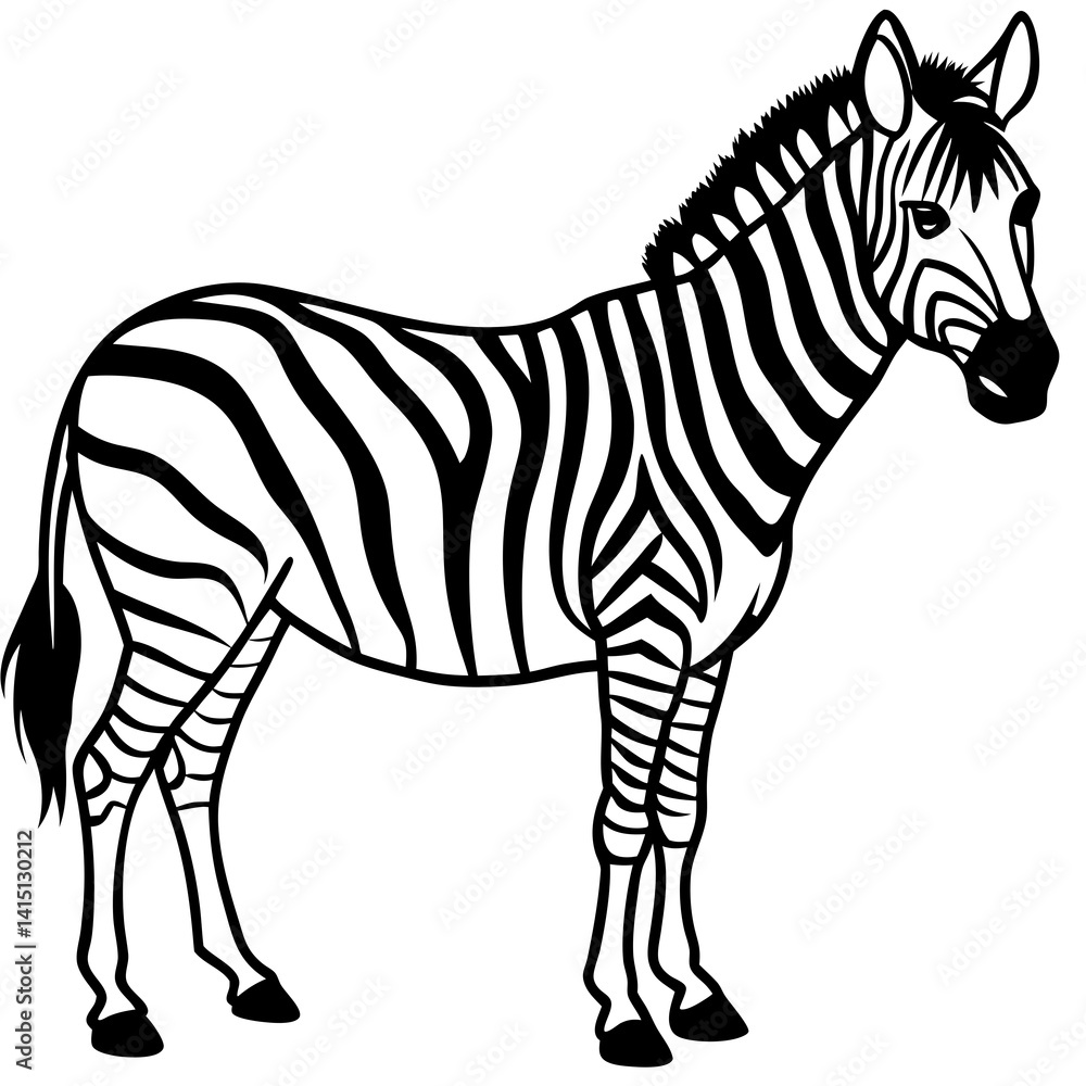Fototapeta premium Zebra Line Art Vector