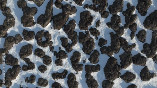 Aerial top-down view of black lava rocks scattered over fresh white snow in Iceland, creating a natural pattern of high contrast and volcanic texture.