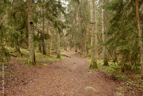Photography Nature