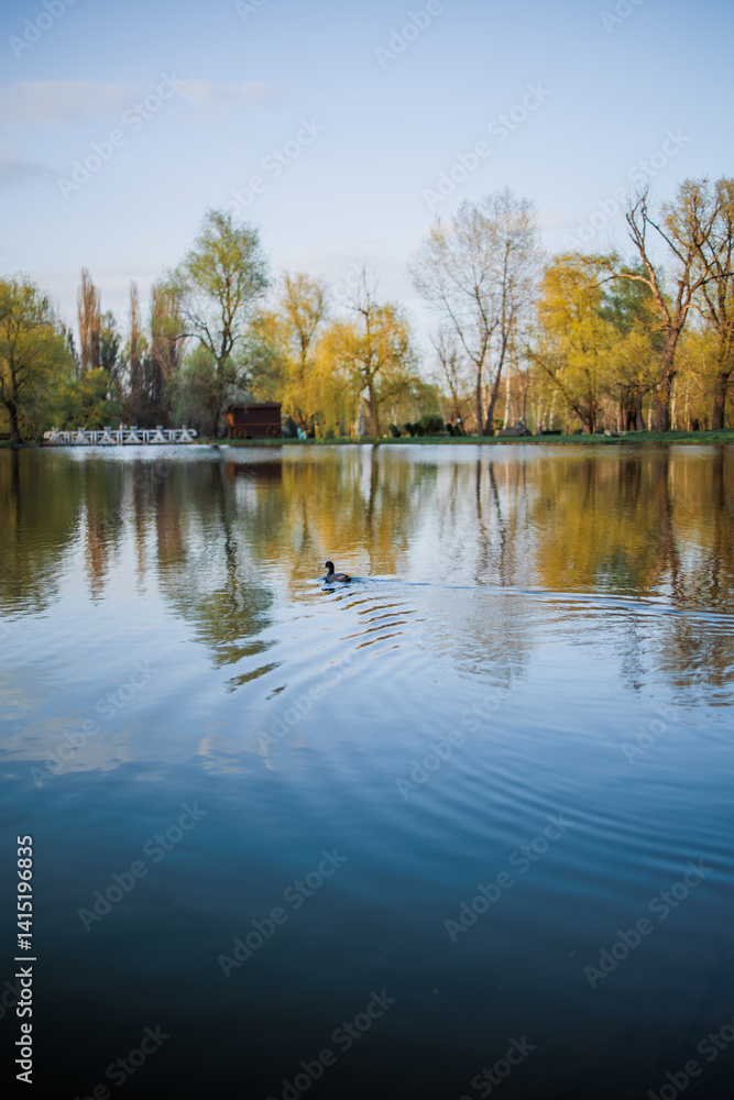 A beautiful spring atmosphere, a beautiful lake in the middle of nature. A beautiful spring atmosphere, a beautiful lake in the middle of nature.