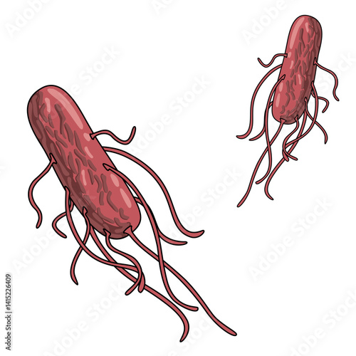 Illustration of escherichia bacteria. e.coli, bad bacteria in the human body. dangerous micro organisms, vector illustration for medical posters, treatment, or clinics.