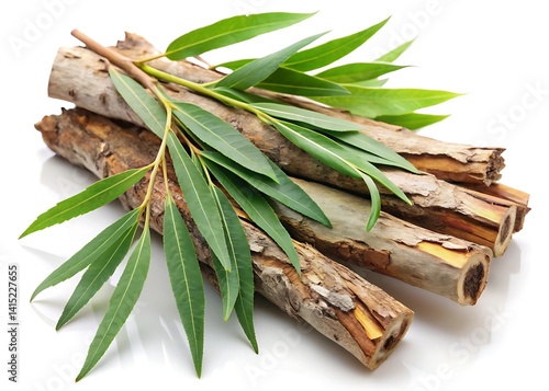 willow bark and leaves against a white background
