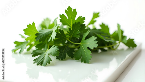 parsley on a white background