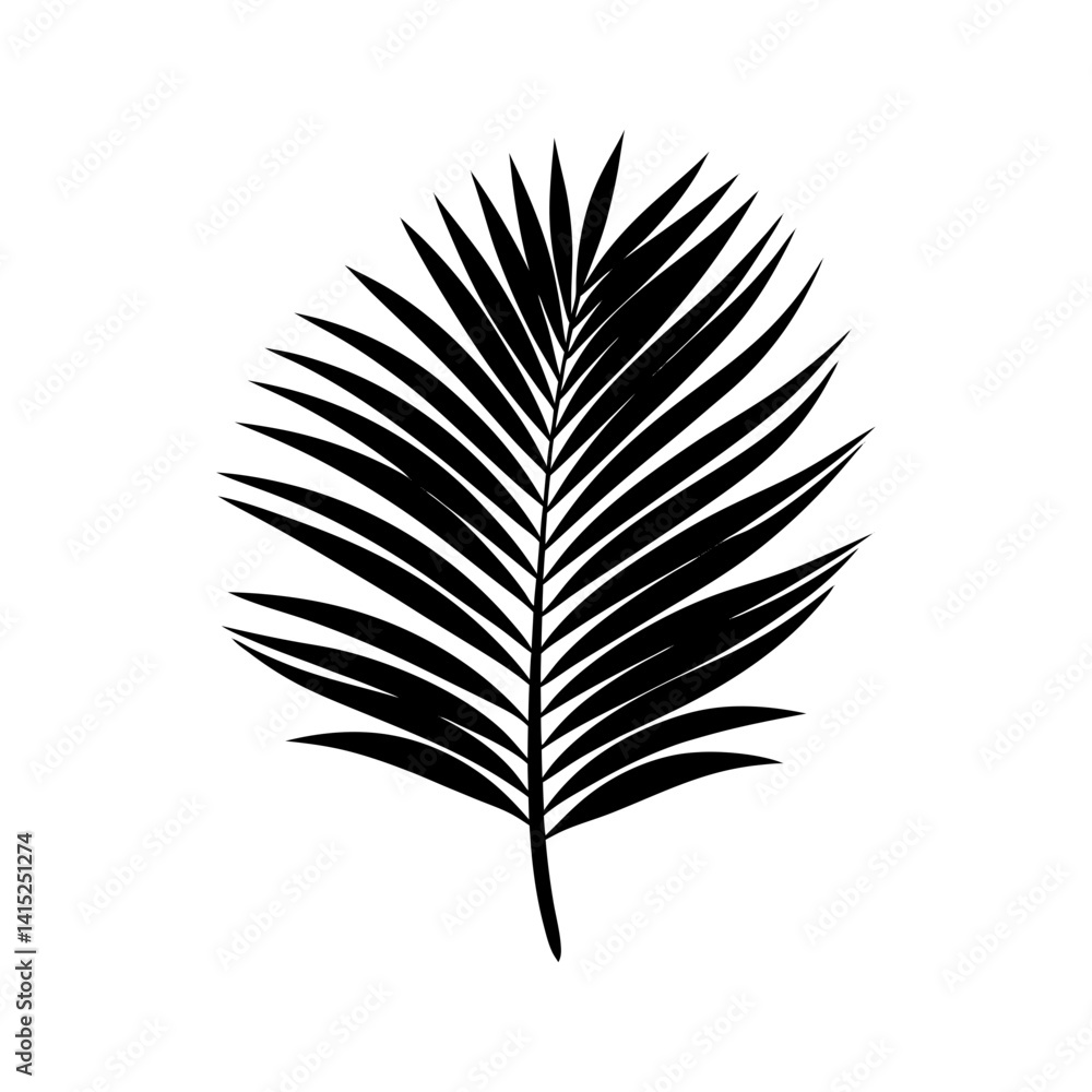Palm Leaf Silhouette vector illustration Palm Leaf Silhouette vector illustration