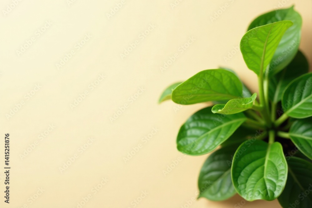 Vibrant Green Foliage Against a Soft, Pale Yellow Background, Ideal for a Variety of Design Applications and Projects Requiring a Natural, Organic Aesthetic.