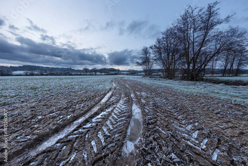 Winter landscape in the High Weald,