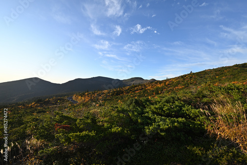 Obraz na płótnie Zao mountain ridge, Miyagi, Yamagata, Japan w salonie