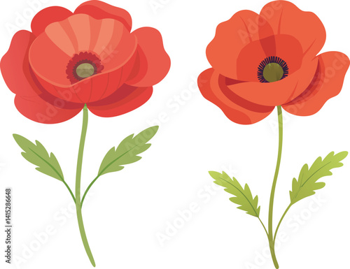Poppy flower vector art illustration file  
