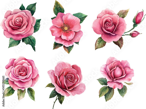 set of pink roses