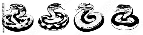 Vector illustration of various snake designs showcasing detailed patterns and postures in black and white style