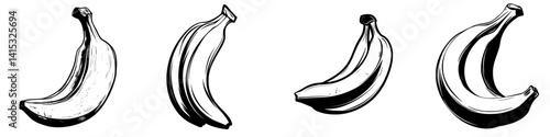 Detailed vector illustration of four distinct bananas showcasing their unique shapes and perspectives