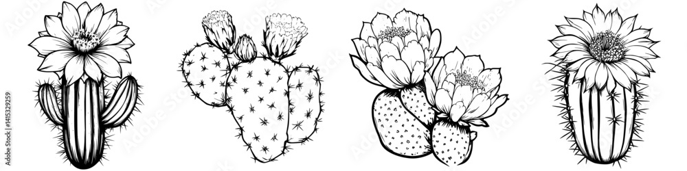 Vector illustration of various cacti with flowers in a minimalist style for nature lovers and design enthusiasts