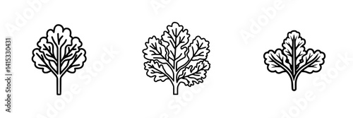 Vector illustration of three distinct leafy plants showcasing unique shapes and designs perfect for botanical designs and educational materials