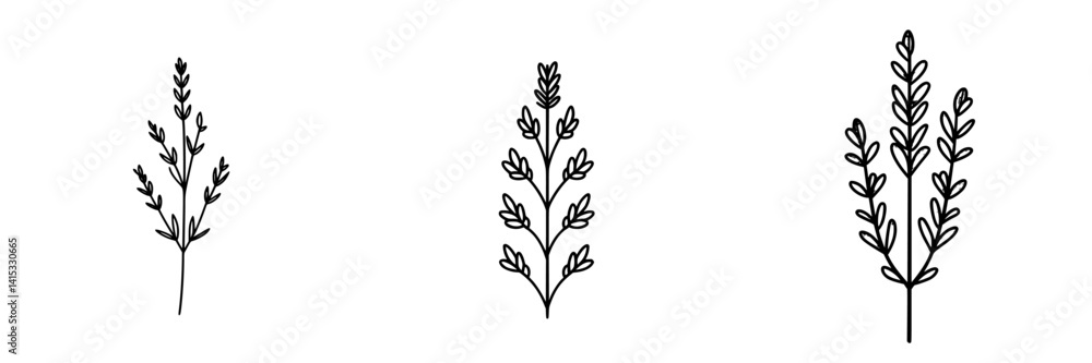 Naklejka premium Vector illustration of three stylized plant designs featuring delicate leaves and stems for nature-inspired projects