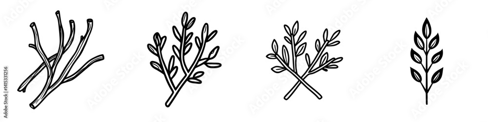 Vector illustration of various herbs and plant leaves arranged artistically for design and decoration purposes Vector illustration of various herbs and plant leaves arranged artistically for design and decoration purposes