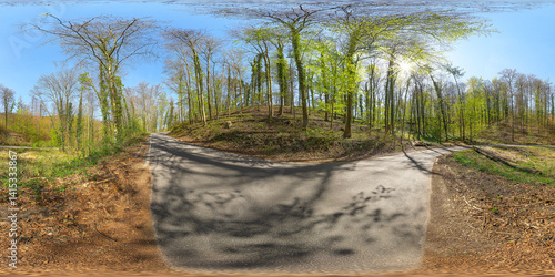 Obraz na płótnie forest path 13k 360° vr panorama equirectangular environment w salonie