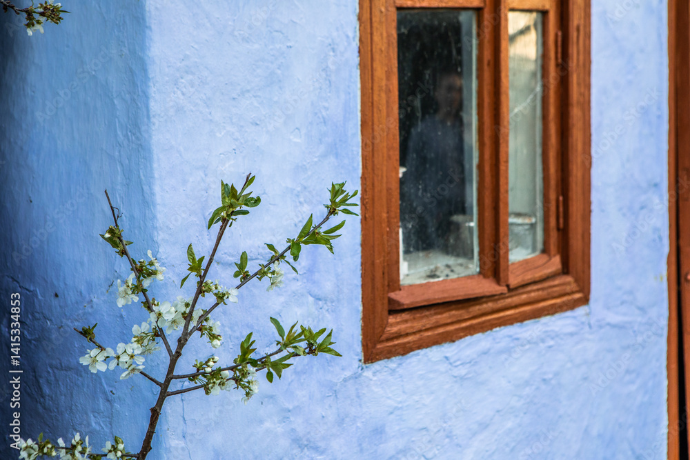 Beautiful rural landscape from the Republic of Moldova. Village life in spring.
