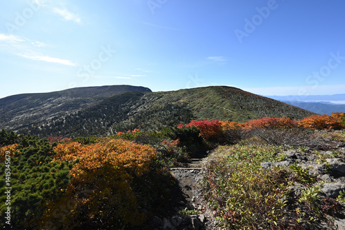 Obraz na płótnie Zao mountain ridge, Miyagi, Yamagata, Japan w salonie