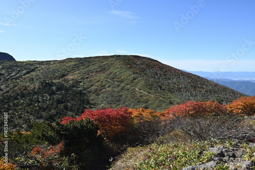 Obraz na płótnie Zao mountain ridge, Miyagi, Yamagata, Japan w salonie