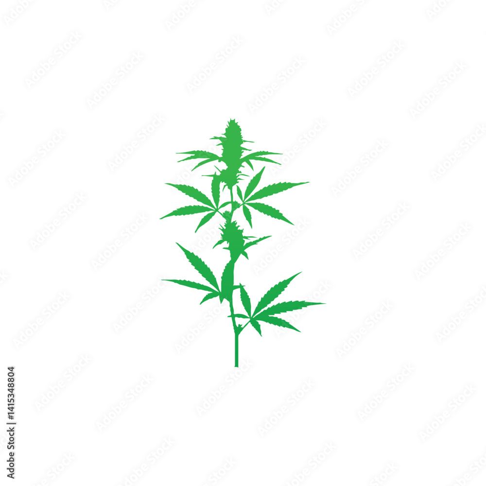 Naklejka premium green plant isolated on white